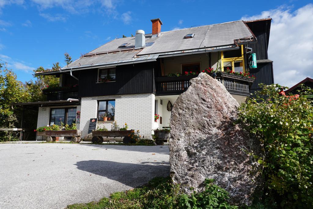 Guest House Beli Kamen Vojsko Kültér fotó