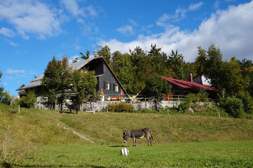 Guest House Beli Kamen Vojsko Kültér fotó